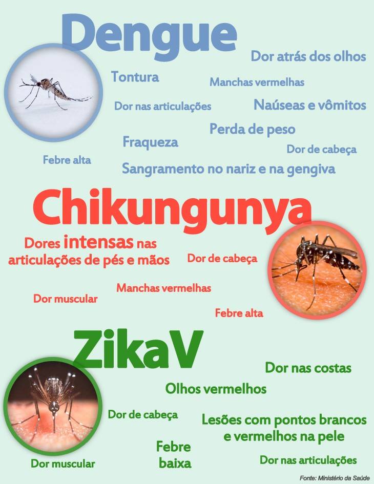 Governo de Marema alerta sobre as medidas necessárias para prevenir a dengue  - Prefeitura de Marema