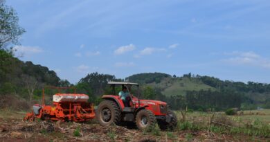 Secretaria de Agricultura de Marema realiza plantio de milho a produtores do município