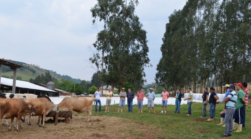 Capacitação também faz parte dos preparativos para a 1ª Amostra da Bezerra que acontecerá no aniversário de Marema em 2018